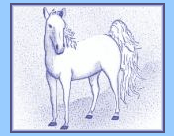 White Horse in a snowstorm.
